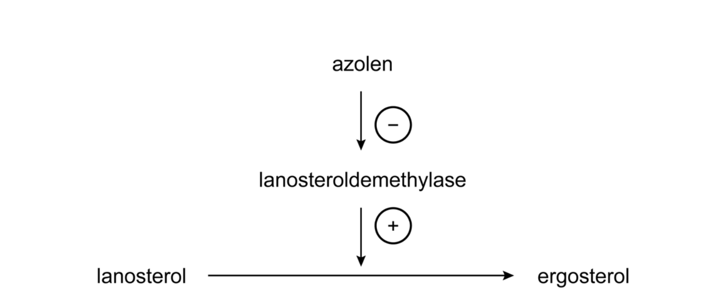 Antwoordmodel vraag 38 Gevaarlijke sporen, figuur 1