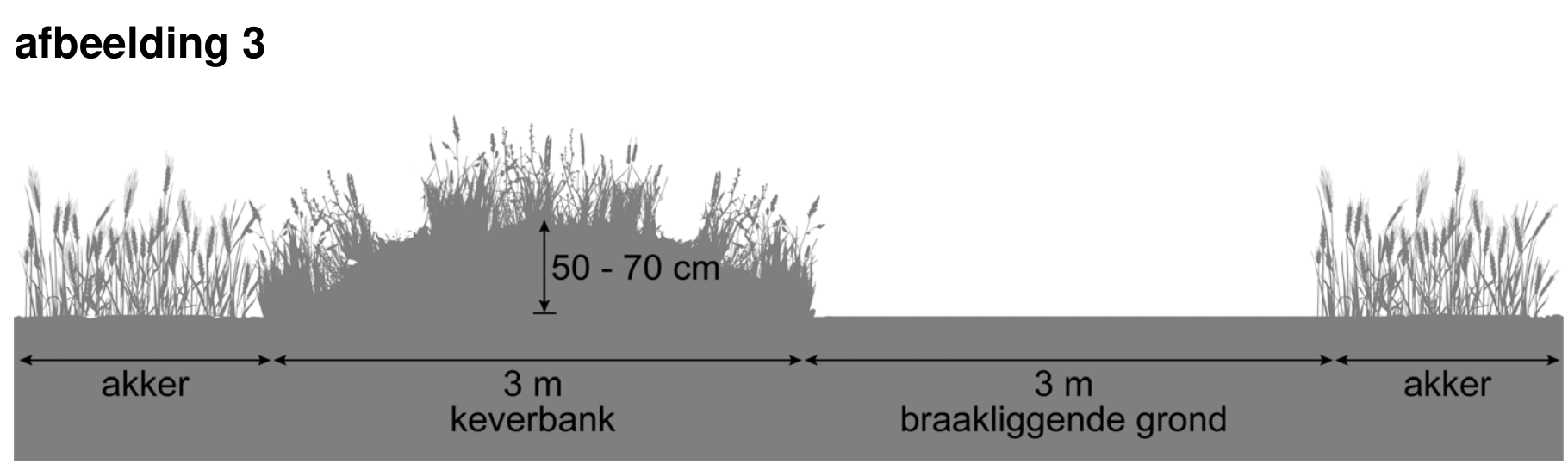Figuur 1 bij vraag 26 van opgave Project Partridge (Biologie HAVO 2025)