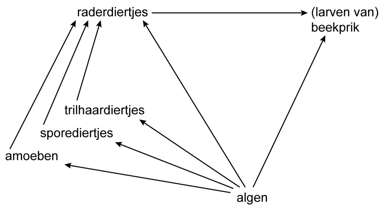 Antwoordmodel vraag 10 Bedreigingen voor de beekprik, figuur 1