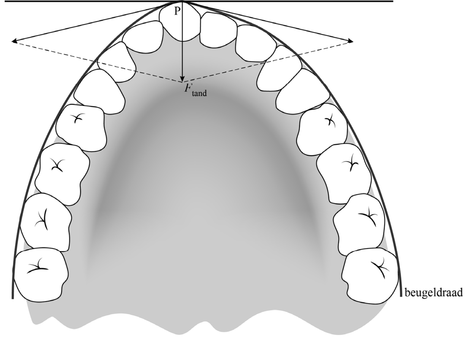 Antwoordmodel vraag 22 Beugel, figuur 1