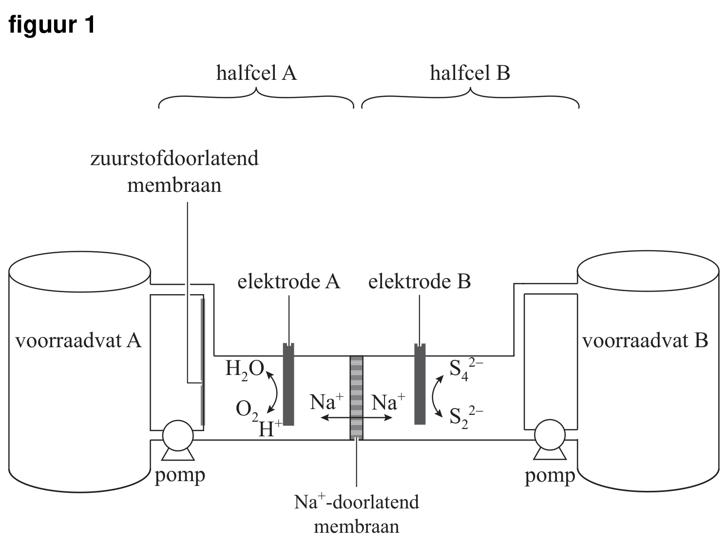 Figuur 1 bij vraag 30 van opgave Ademende flowbatterij (Scheikunde HAVO 2024)
