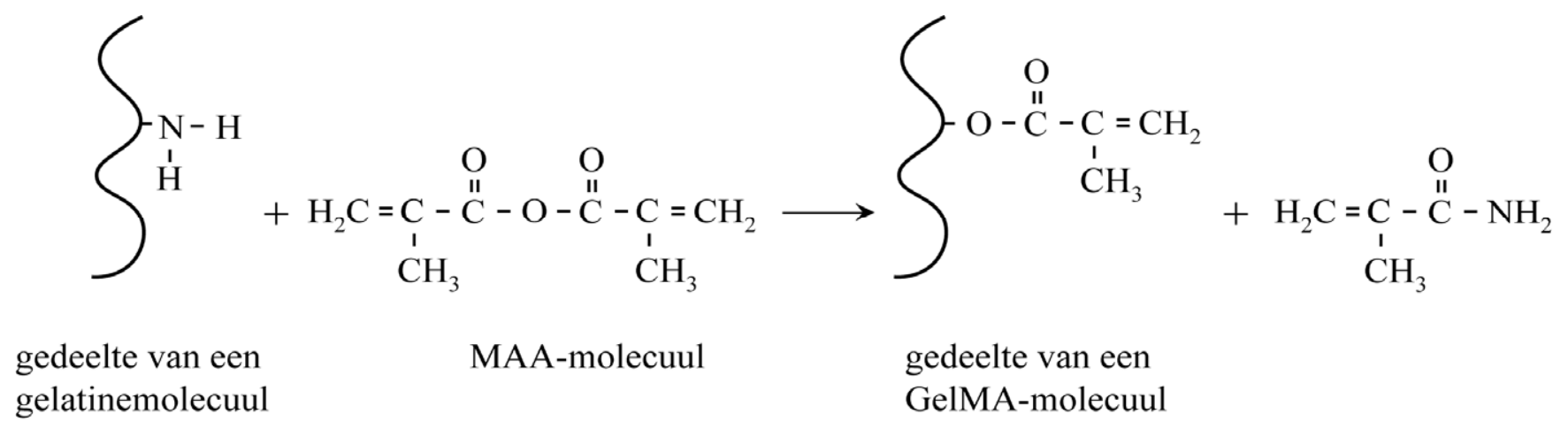 Antwoordmodel vraag 8 GelCORE, figuur 2