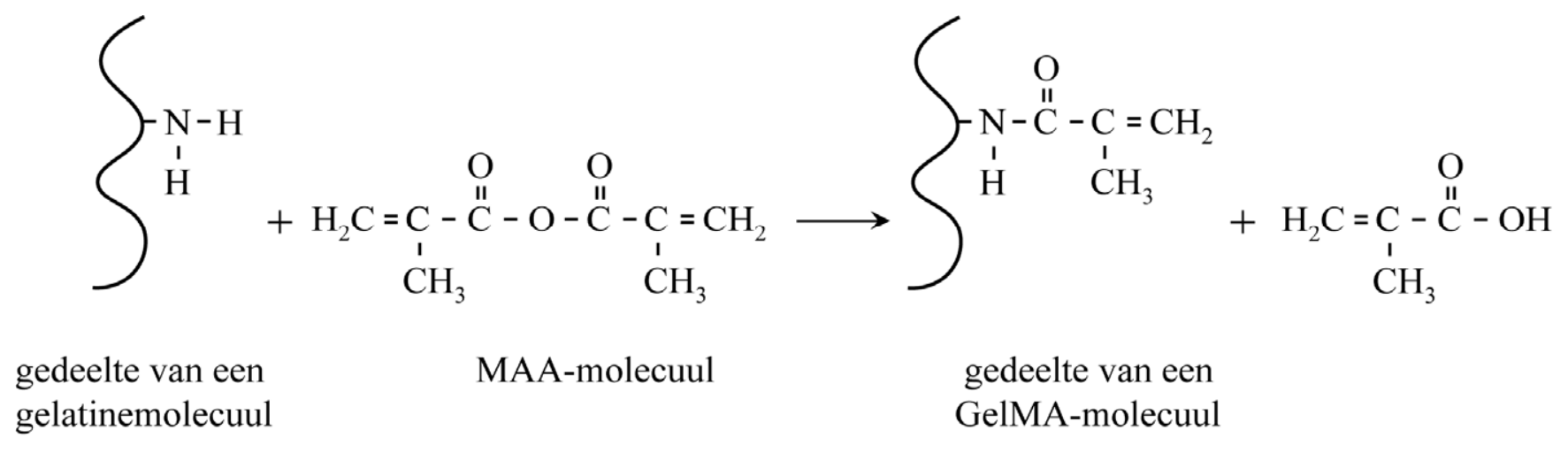 Antwoordmodel vraag 8 GelCORE, figuur 1