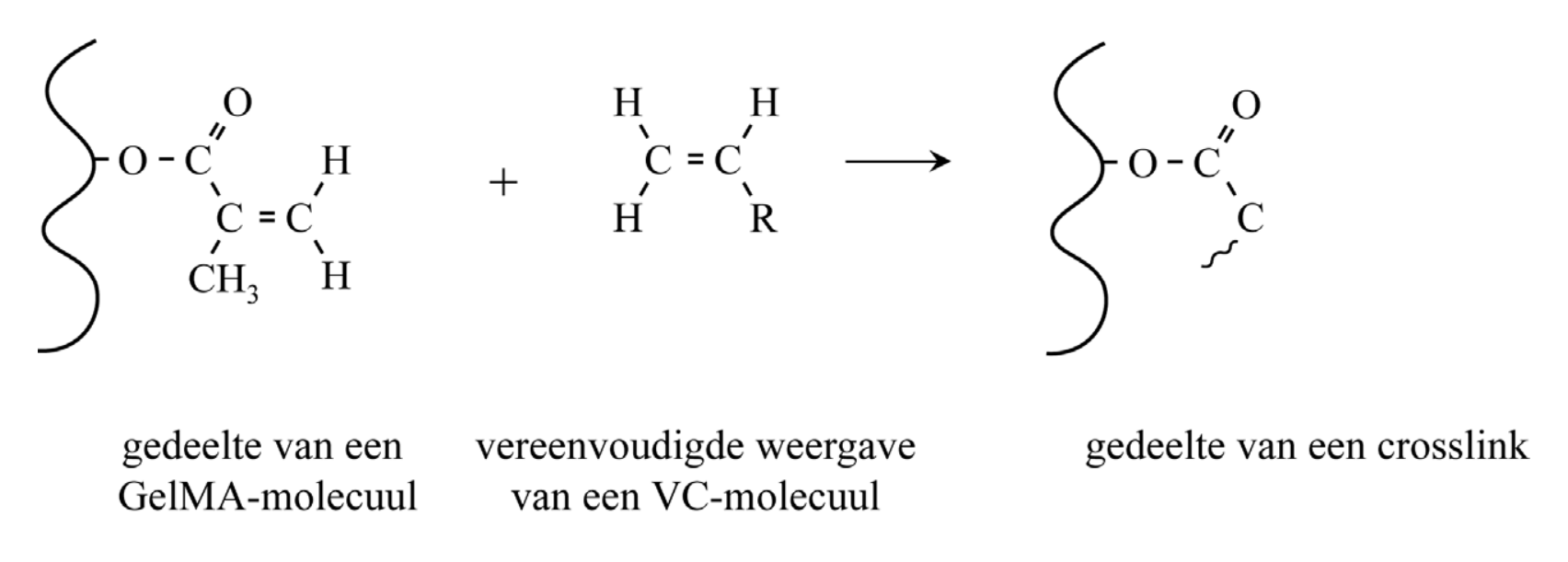 Uitwerkbijlage bij vraag 12 van opgave GelCORE