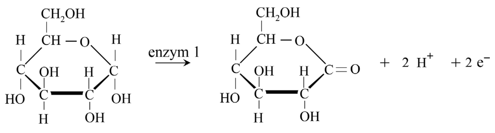 Antwoordmodel vraag 10 Slimme kattenbakkorrels, figuur 1