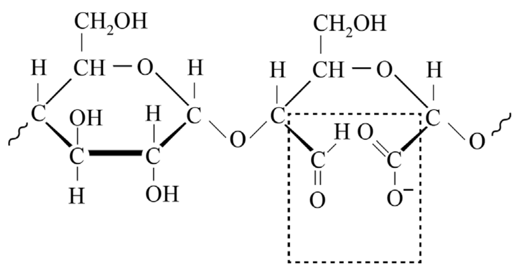 Antwoordmodel vraag 22 Gemodificeerd zetmeel, figuur 1