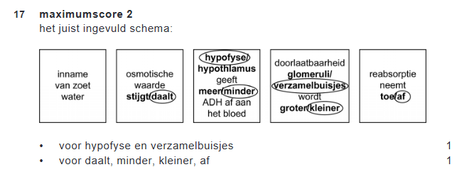 Antwoordmodel vraag 17 Bruinvis werd rivierbewoner, figuur 1