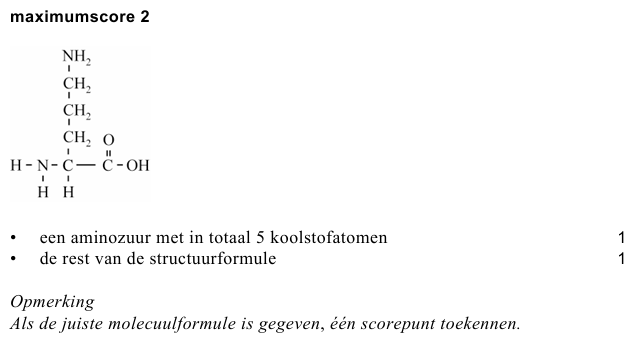 Antwoordmodel vraag 17 Creatine, figuur 1