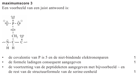 Antwoordmodel vraag 24 Dystrofine, figuur 1