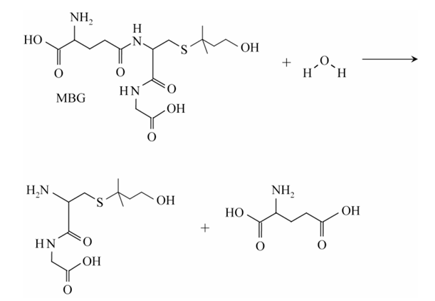 Antwoordmodel vraag 23 De geur van kater-urine, figuur 1